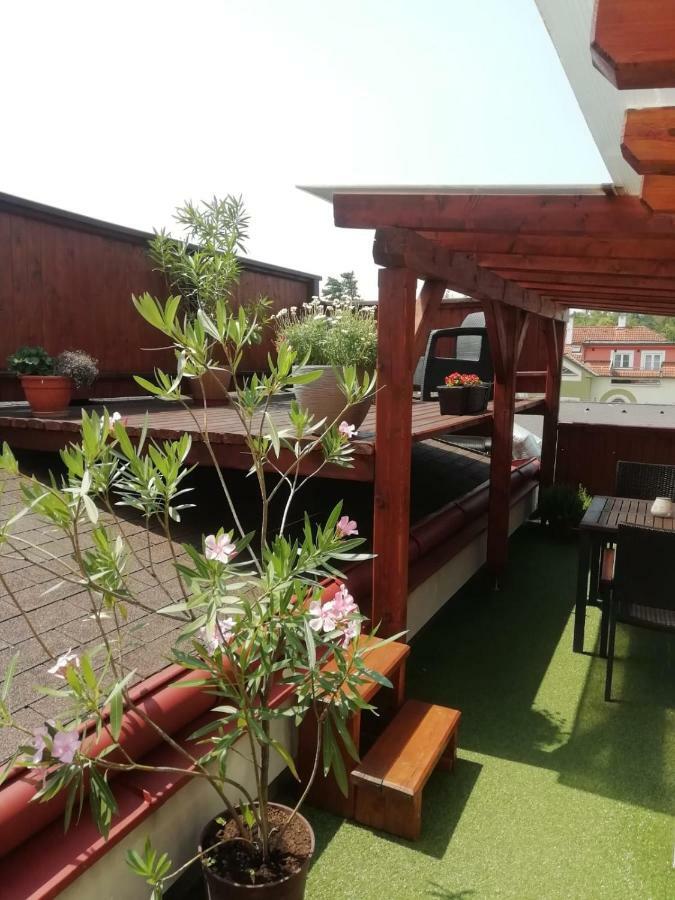 Penzion U Papousku Jindrichuv Hradec Exterior foto